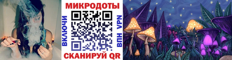 дарнет шоп  Камешково  Галлюциногенные грибы Psilocybe 