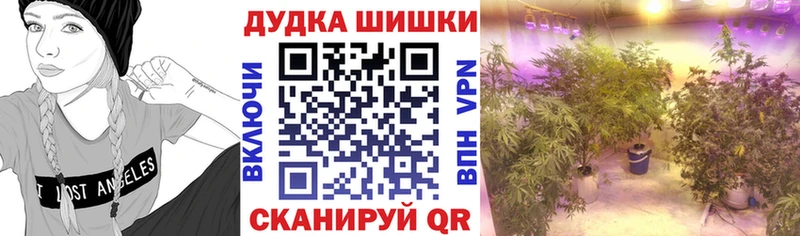 Марихуана Amnesia  купить наркоту  Камешково 